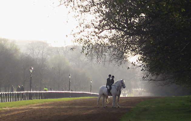 horses in hyde park